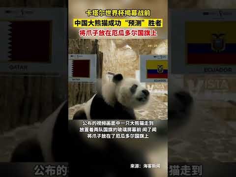 半岛体育,产品,半岛体育平台,半岛体育平台,半岛体育官方网站,半岛体育登录入口,半岛体育app下载