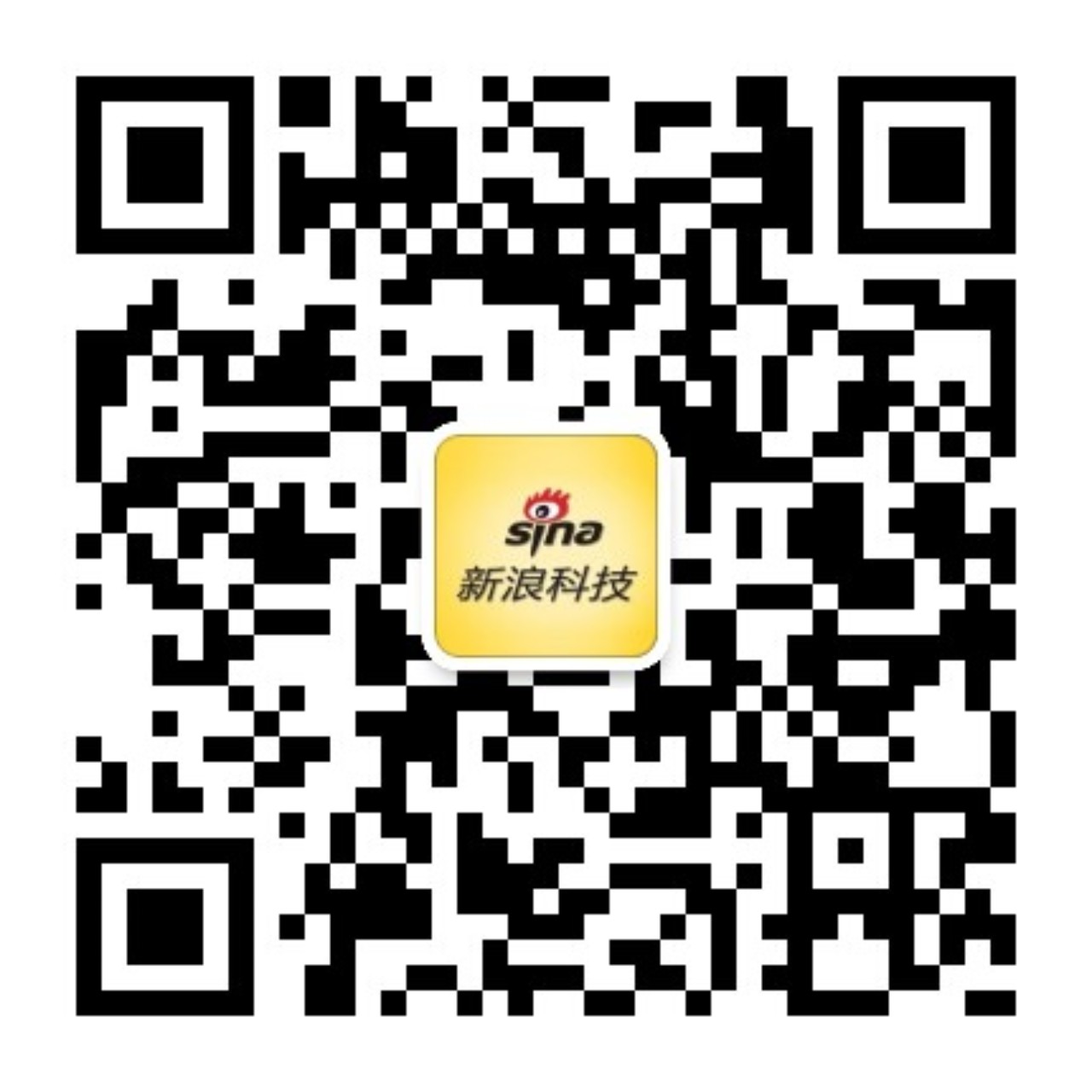 电竞战队新阵，半岛体育平台，容亮相，新赛季挑战将至