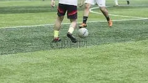 半岛体育 产品 101155 z8y