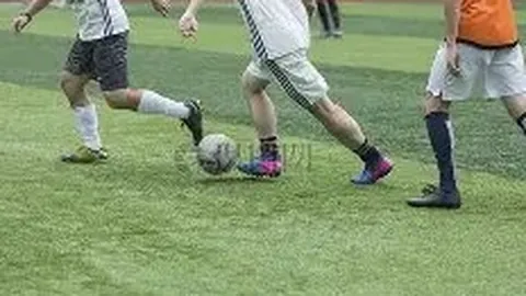 半岛体育 资讯 113628 a36