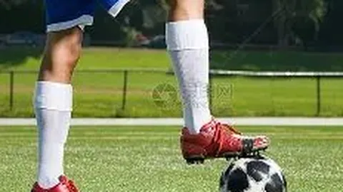 半岛体育 产品 114341 a9s