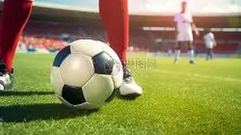 半岛体育 资讯 114230 1r6