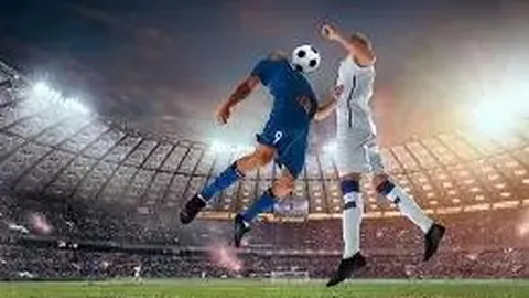 半岛体育 资讯 114006 69m