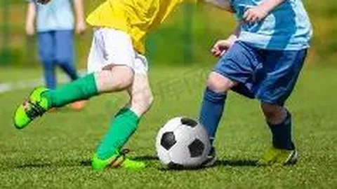 西安国际足球中心草皮铺设完成，即将符合国际赛事标准