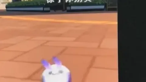 NBA让分解析：奇才对黄蜂期号专家推荐