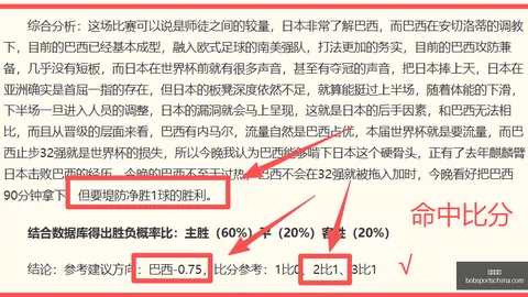 半岛体育，半岛体育官网， 204743